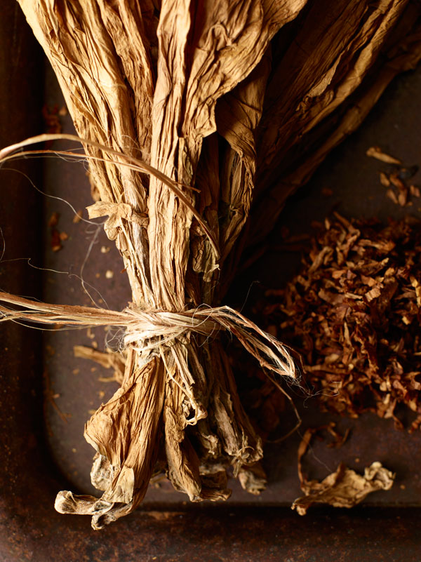 red wine tobacco flavour The Essence of Wine: Tobacco : Vinography