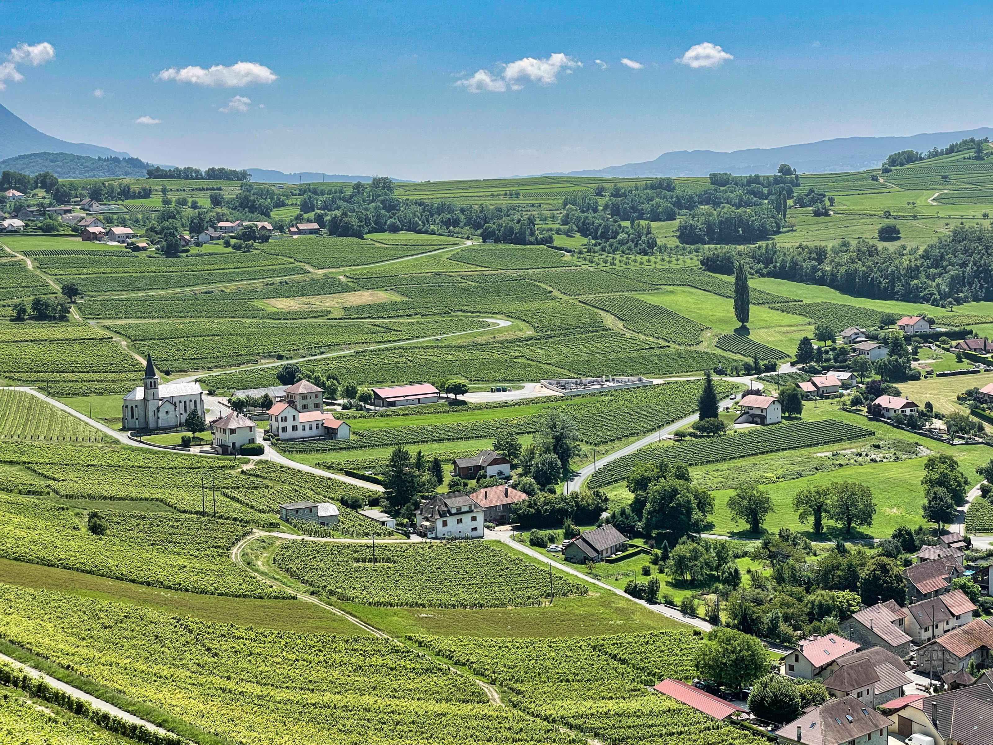 Vinography Images: Vineyard Village