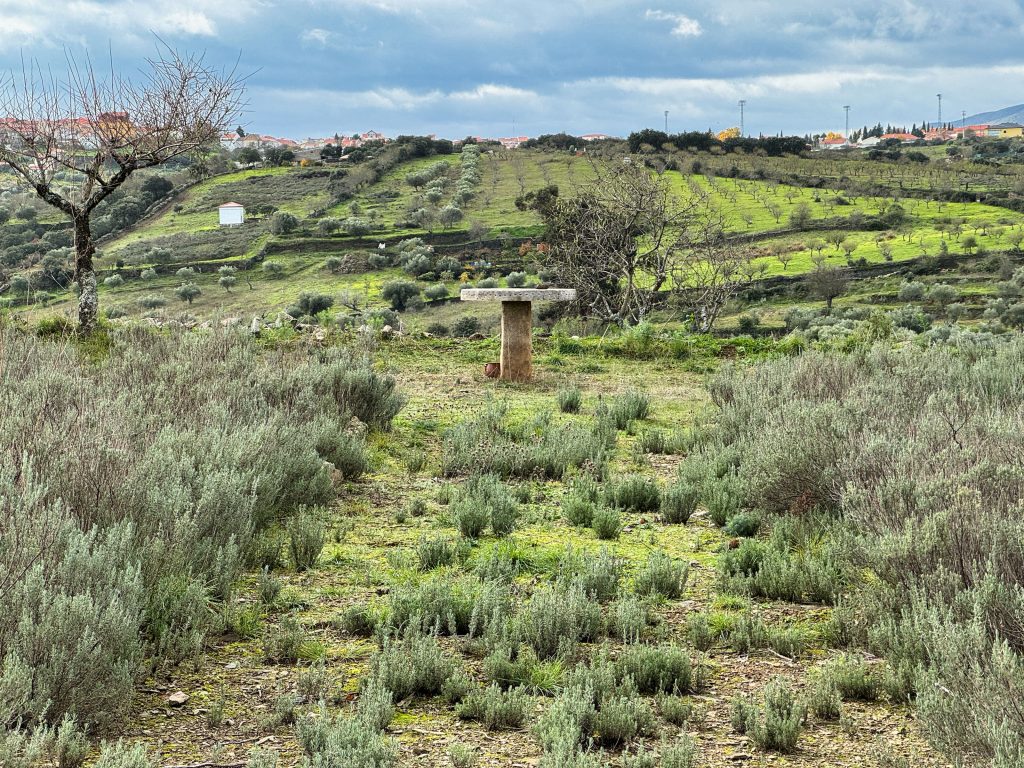 Vinography Images: The Altar