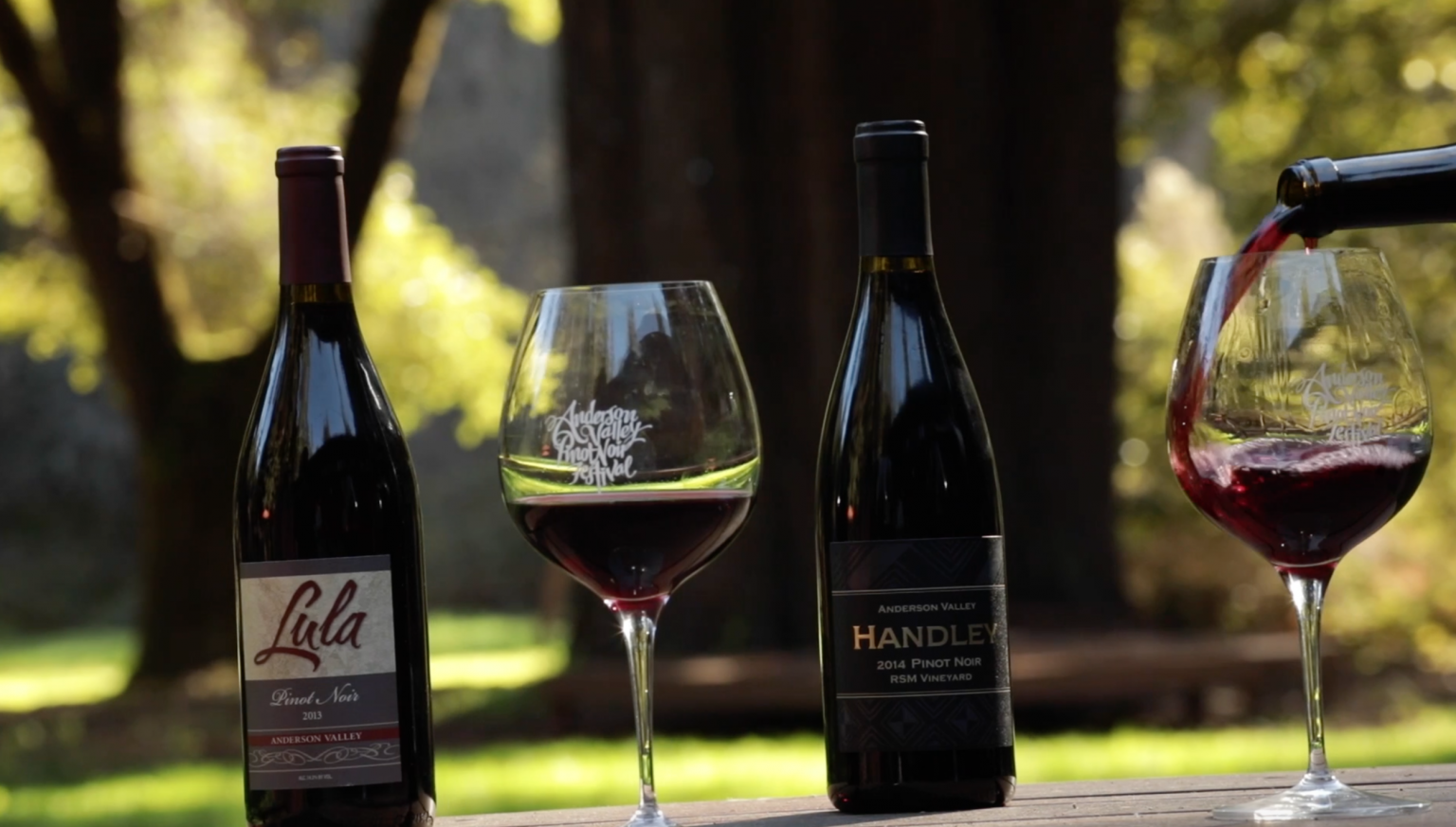 21st Annual Anderson Valley Pinot Noir Festival May 19, Navarro, CA