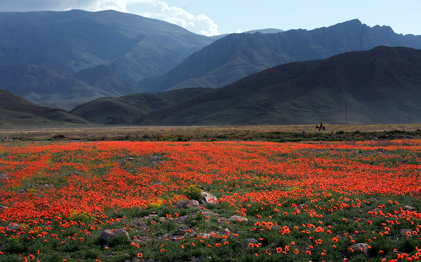 Drinking The Past The Wines of Zorah, Armenia Vinography