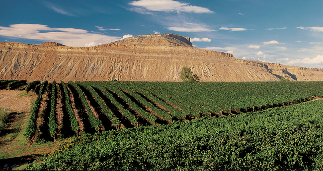 Gallery_1280px-Mesa.jpg