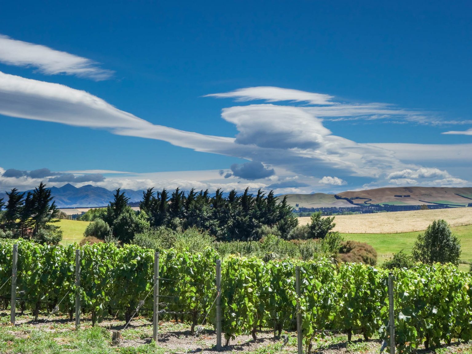 Views of New Zealand Wine Country Episode 2 Vinography