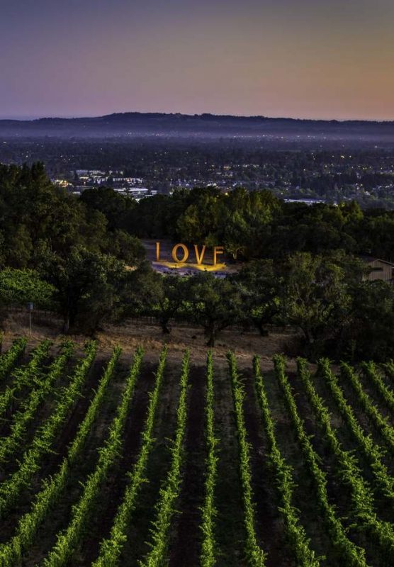 Introducing VINEYARD Sonoma County Vinography