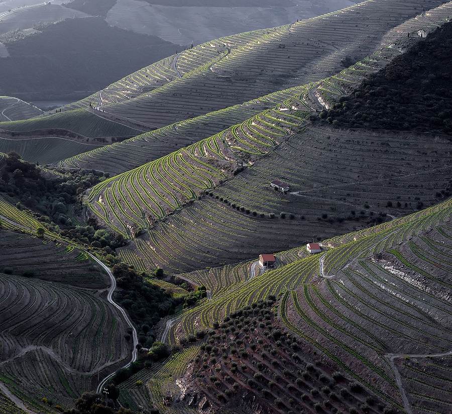 Warm Up The Douro Vinography