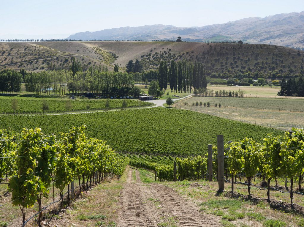 Why Aren't There More Central Otago Chardonnays? Vinography