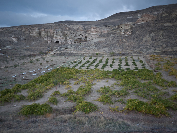 Kocabag Winery, Cappadocia, Turkey: Current Releases : Vinography