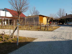 kracher-2.jpg