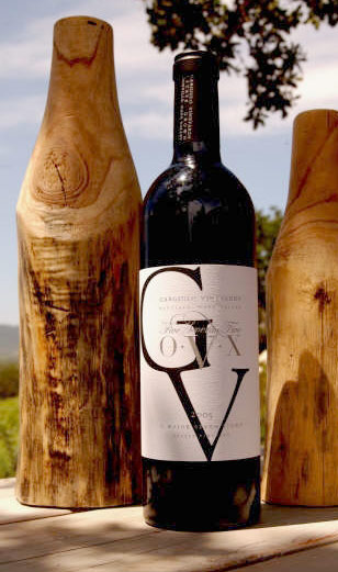 Charles Heidsieck Vintage [2005] マグナム