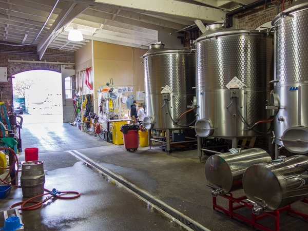 seven_hills_winery-2.jpg