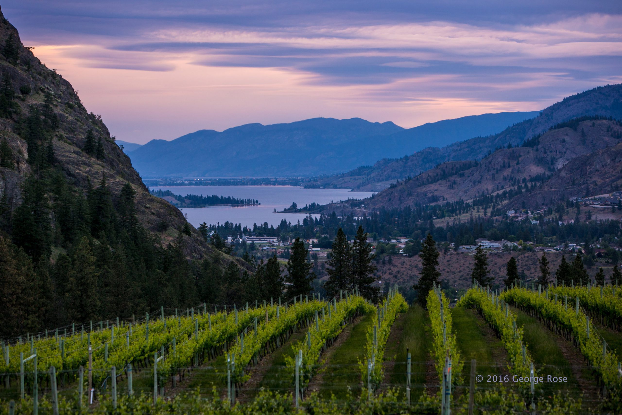 Vinography Images Across the Border Vinography