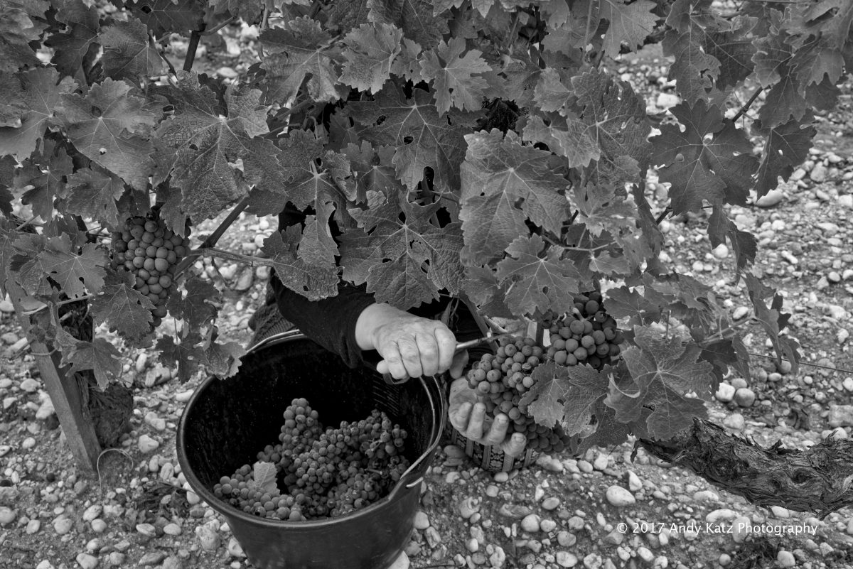 Vinography Images Experience At Work Vinography