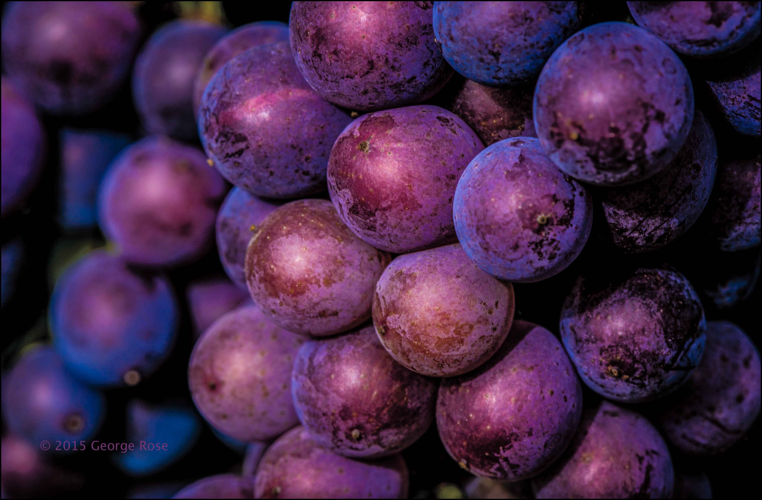 Vinography Images It's Ripe! Vinography