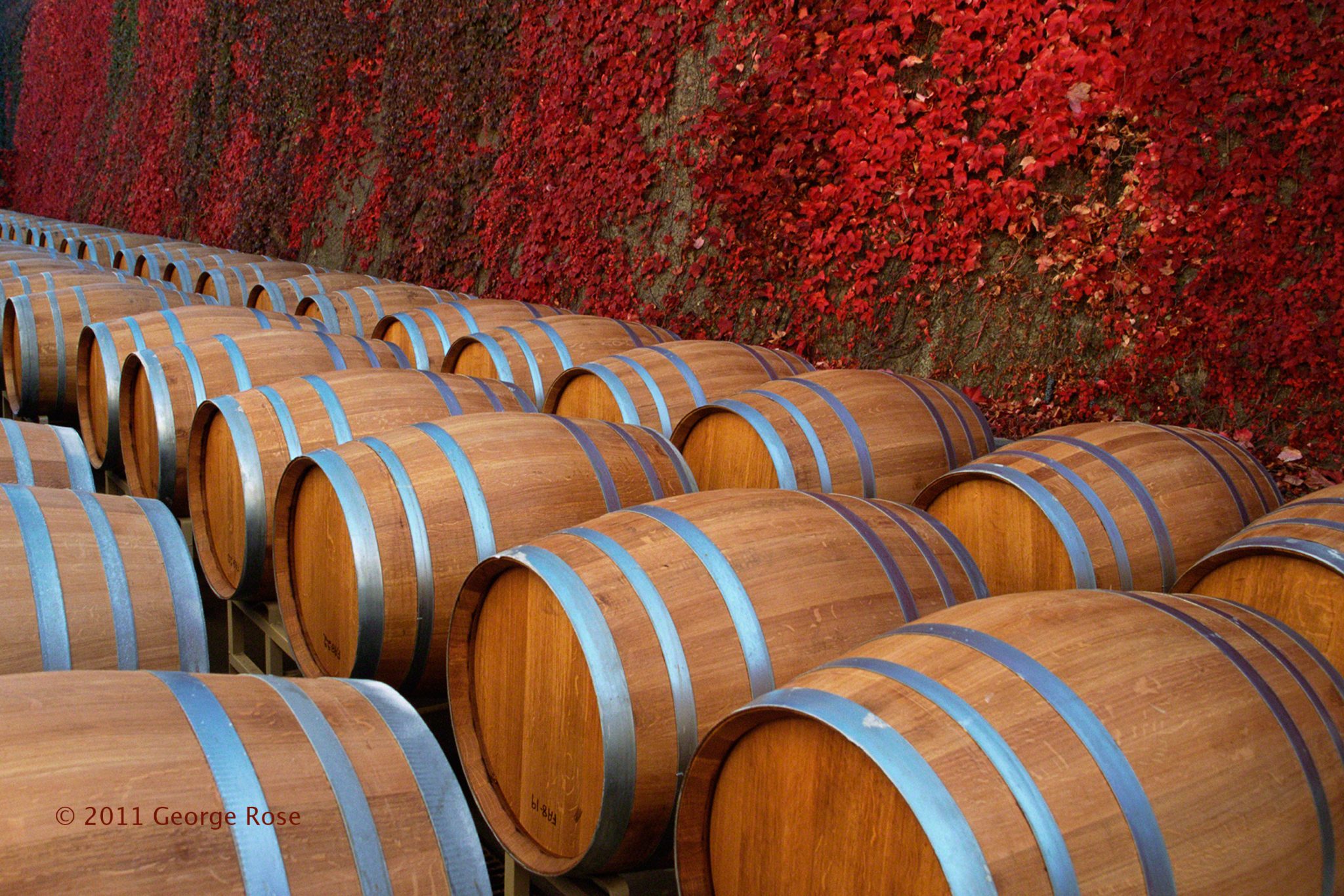 Vinography Images Napa Barrels Vinography