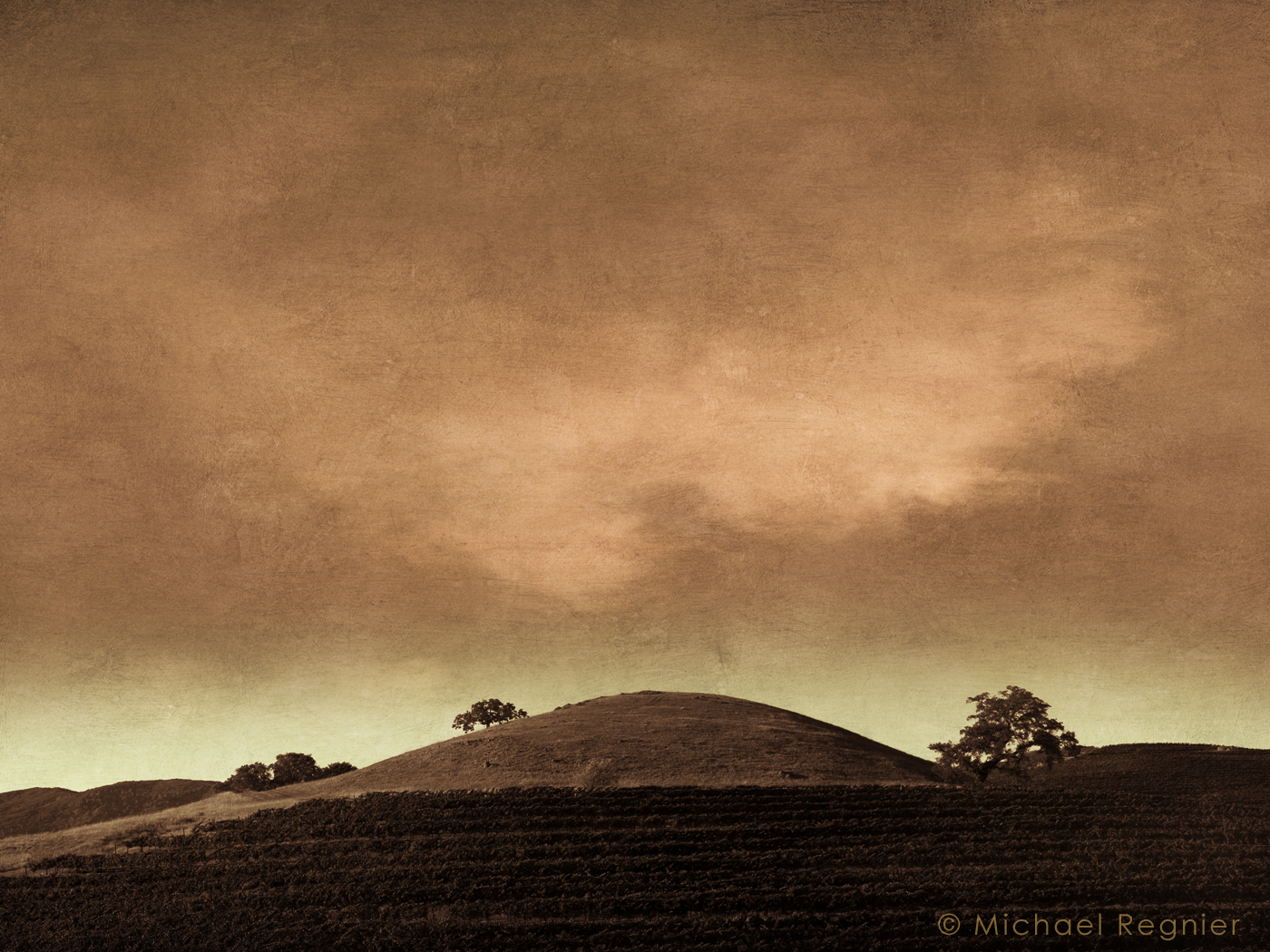 Vinography Images Rose Hill Vinography