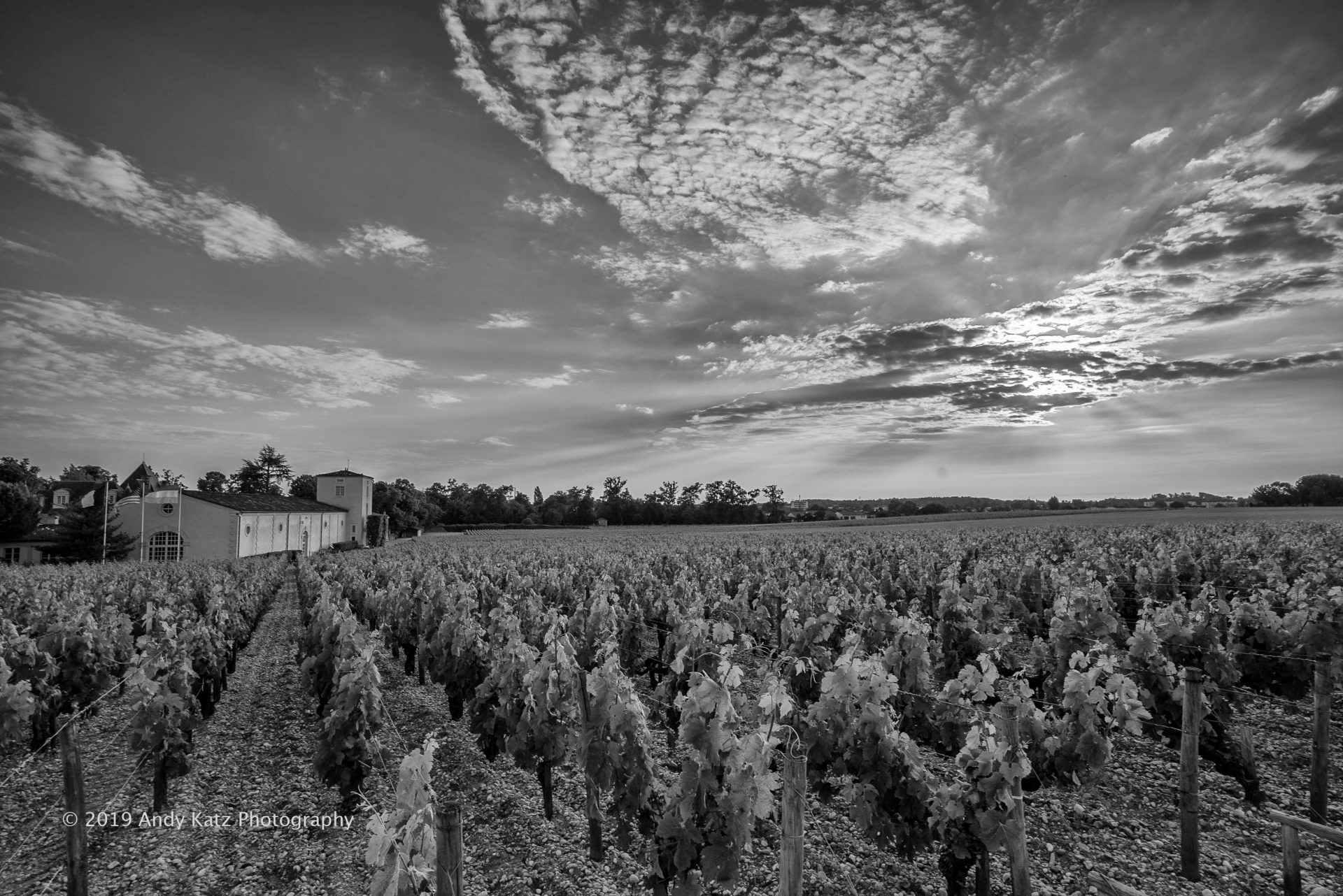 Vinography Images Silver Lining Vinography