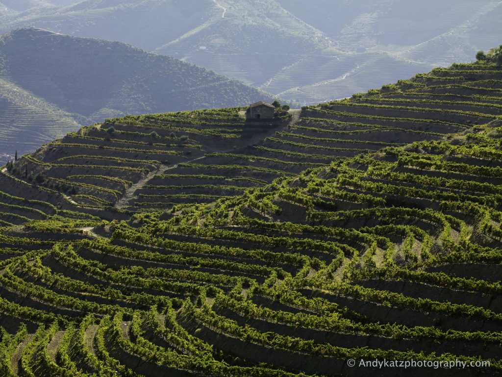 Vinography Images Terraced Vineyards Vinography