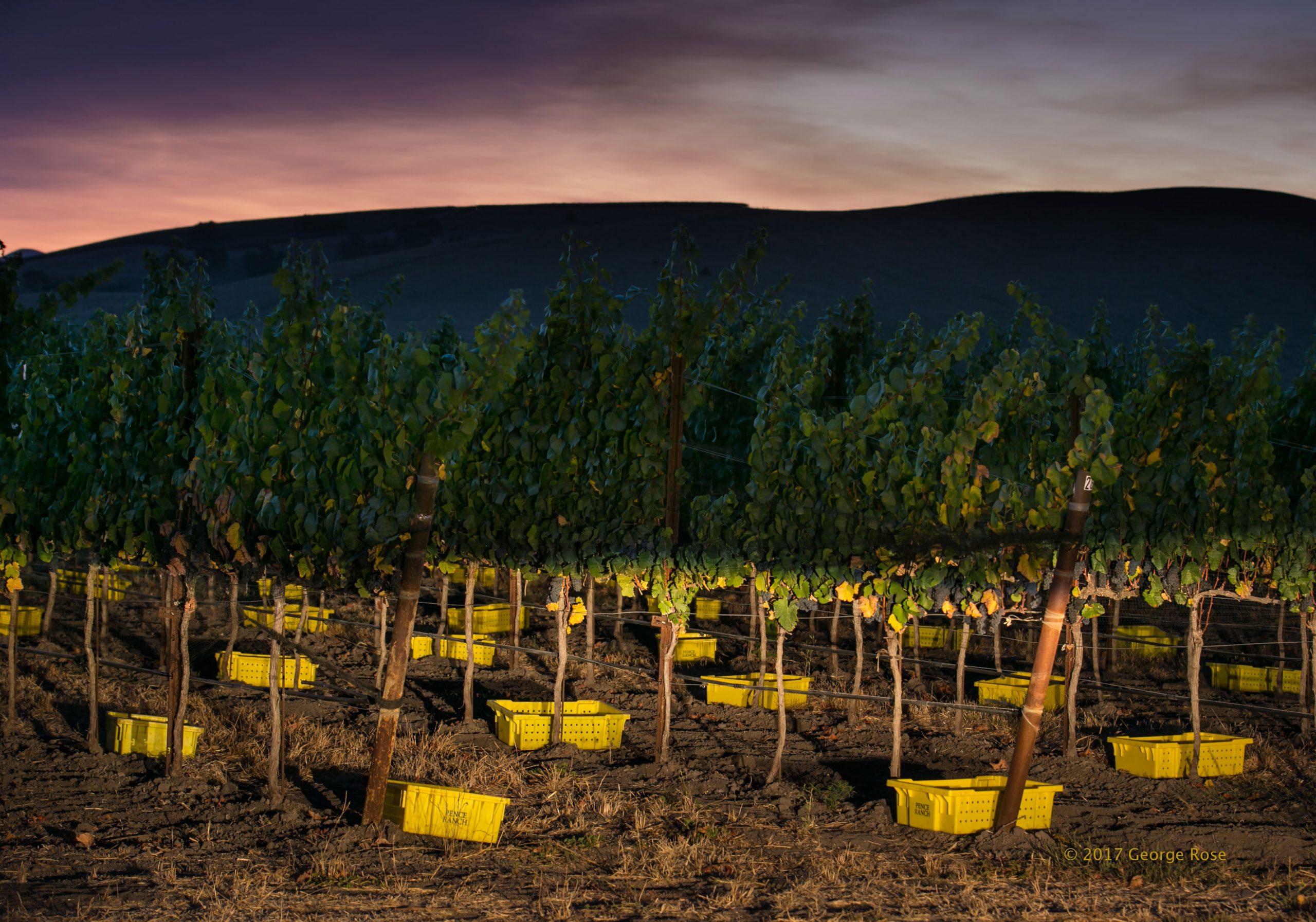 Vinography Images The Bins Vinography