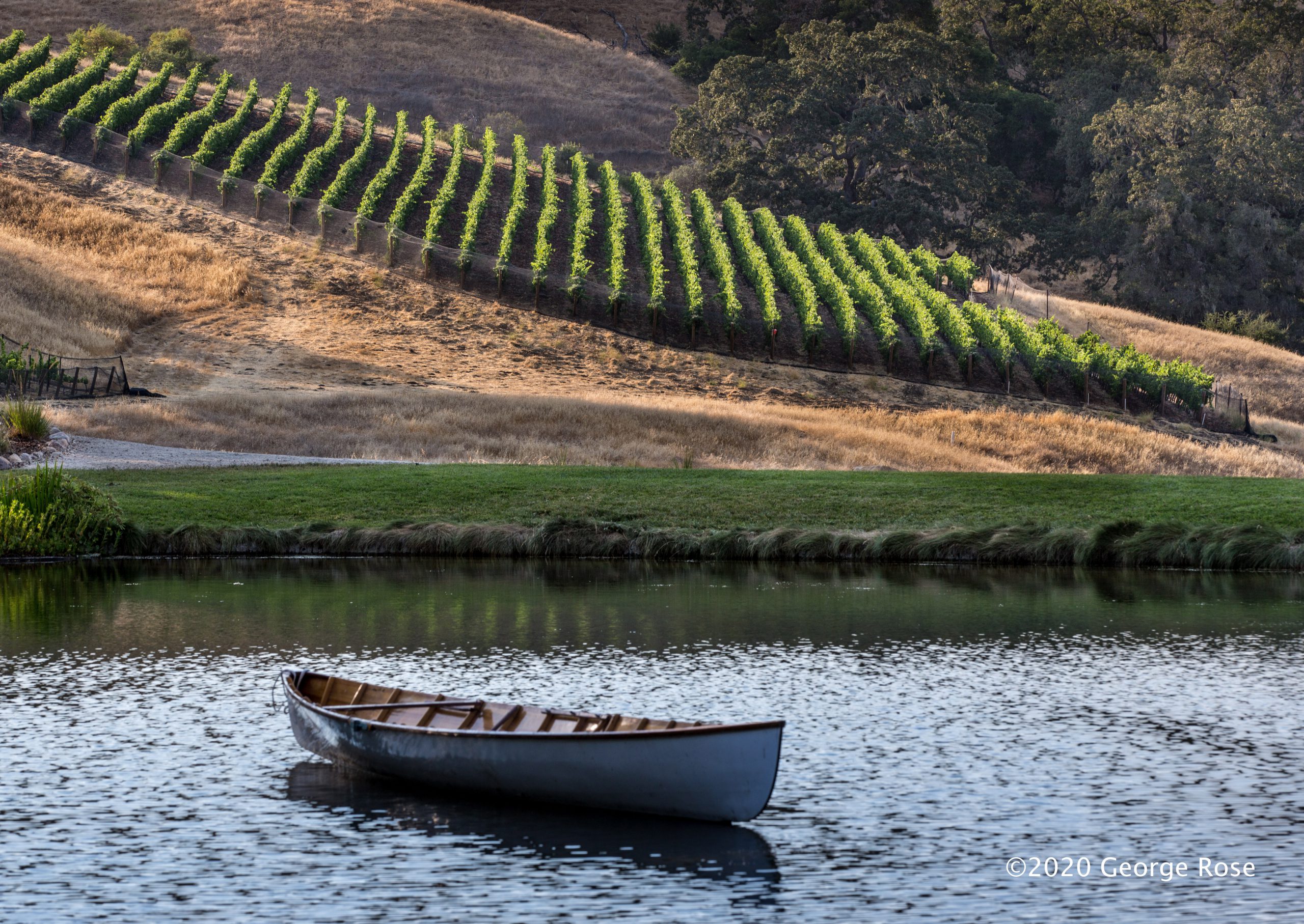 Vinography Images The Boat is Empty Vinography