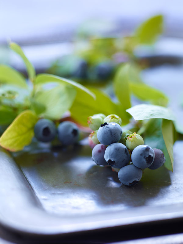 The Essence of Wine Blueberries Vinography