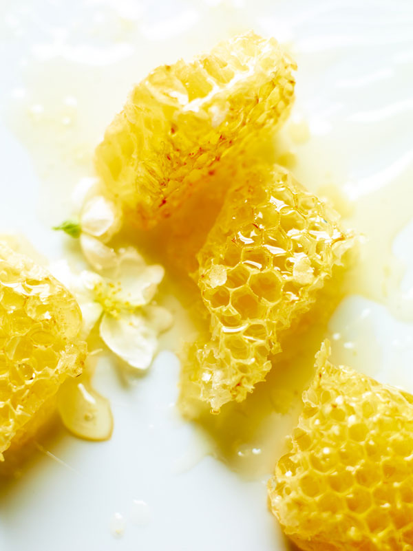 The Essence of Wine Honey Vinography