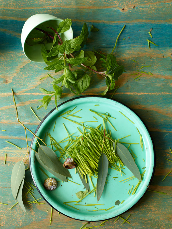 The Essence of Wine Mint Vinography