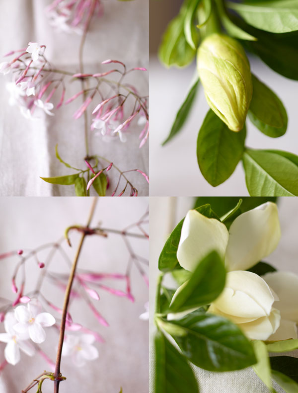 The Essence of Wine White Flowers Vinography