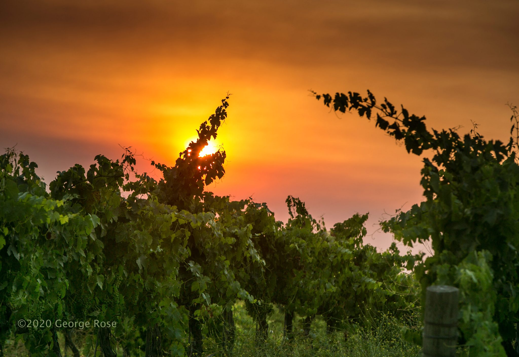 Vinography Images Wine on Fire Vinography