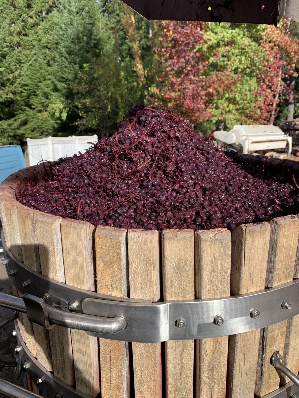 Keeping Mendocino Cool Introducing Boonville Road Wines Vinography