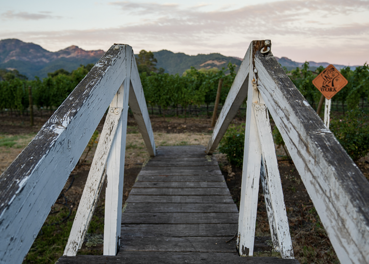 New Names, New Wines from Napa : Vinography