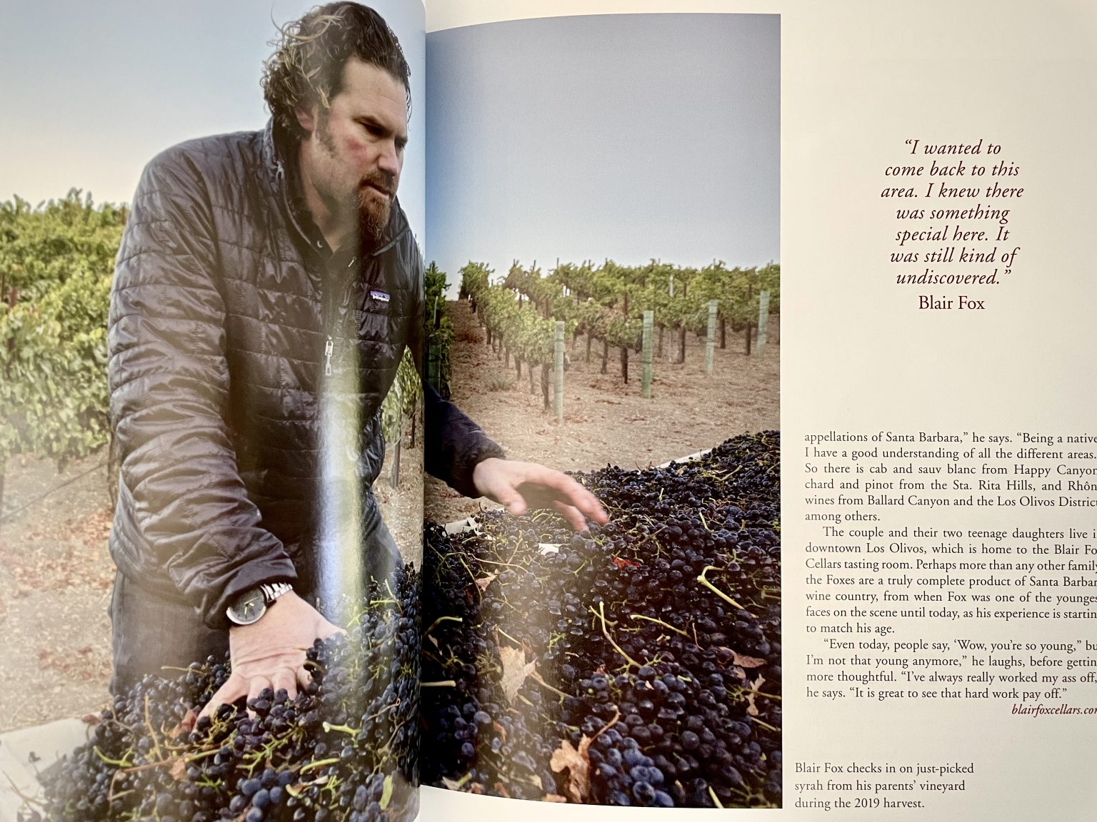 Book Review Wine Cellar Porn for Your Coffee Table Vinography