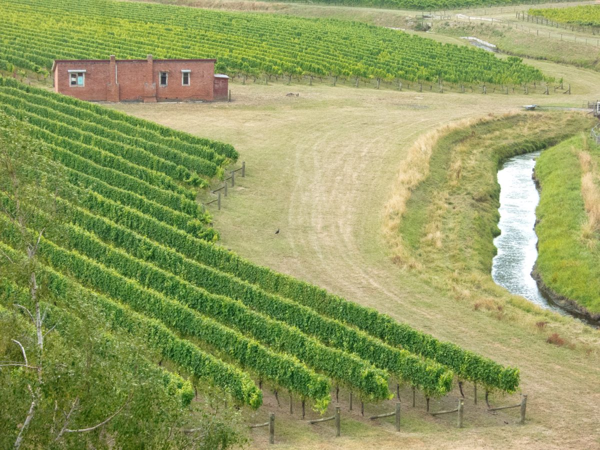 Stony South Tasting the 2019 Gimblett Gravels Vintage Selection