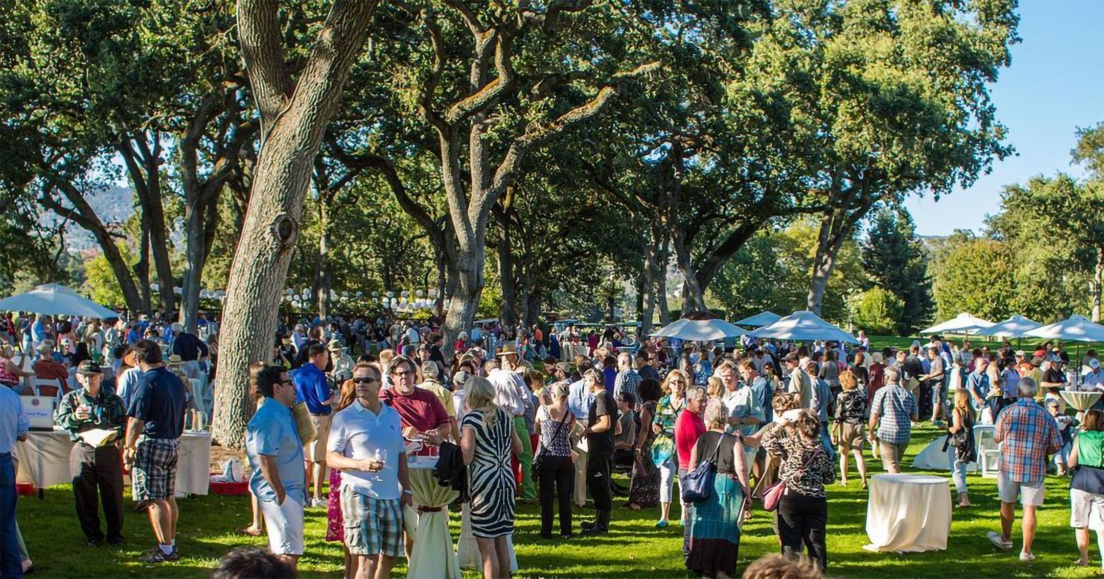 2022 Napa Wine Library Tasting April 24, Napa Vinography