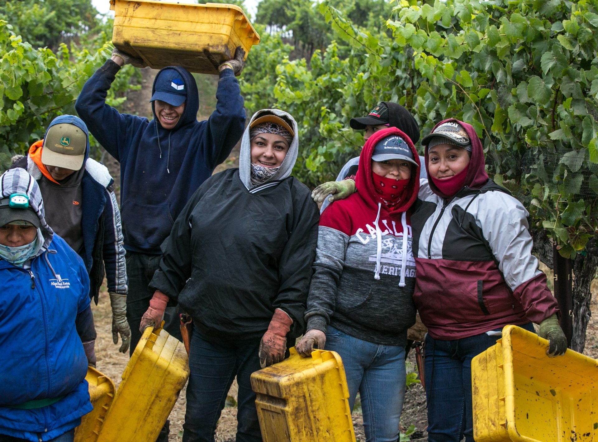 The Definitive List of LatinxOwned Wineries in America Vinography
