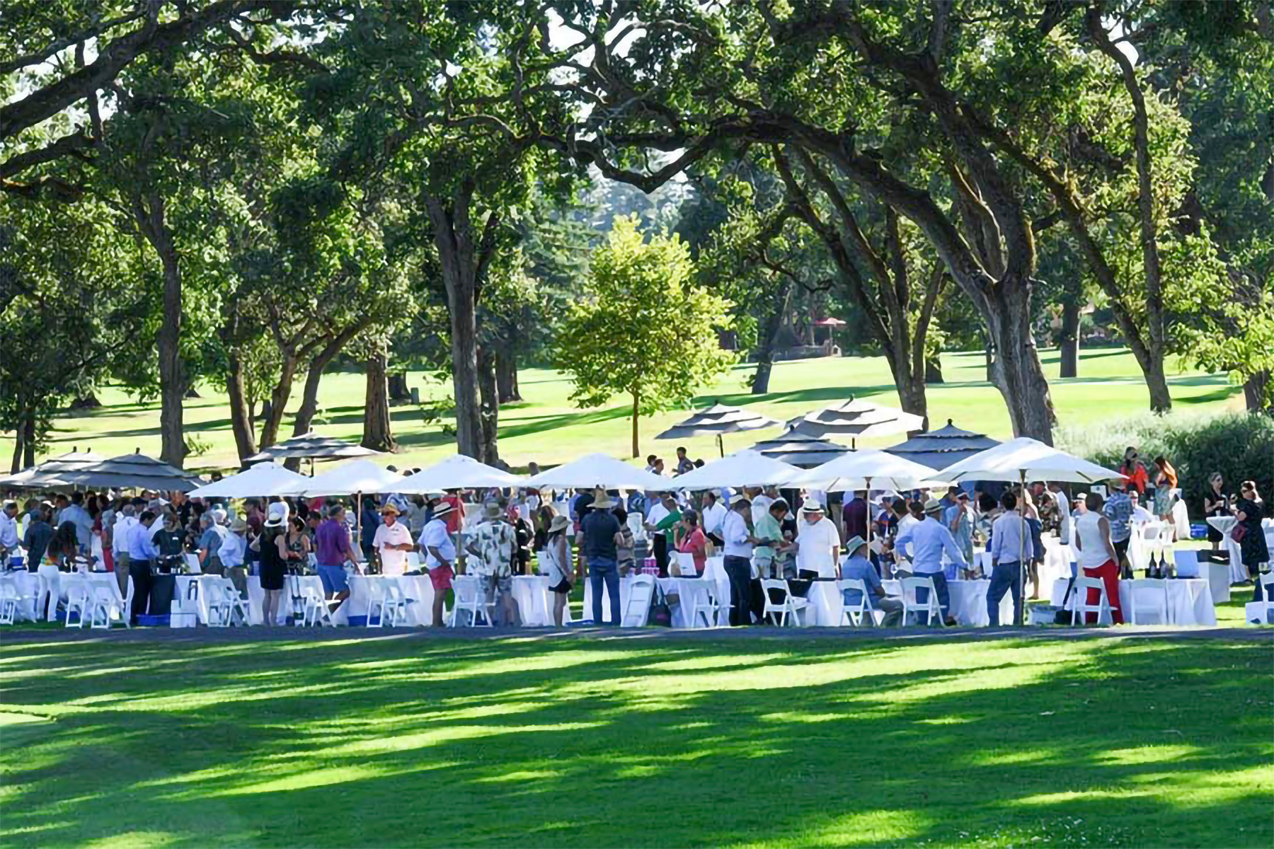 Annual Napa Wine Library Tasting April 30, Napa Vinography