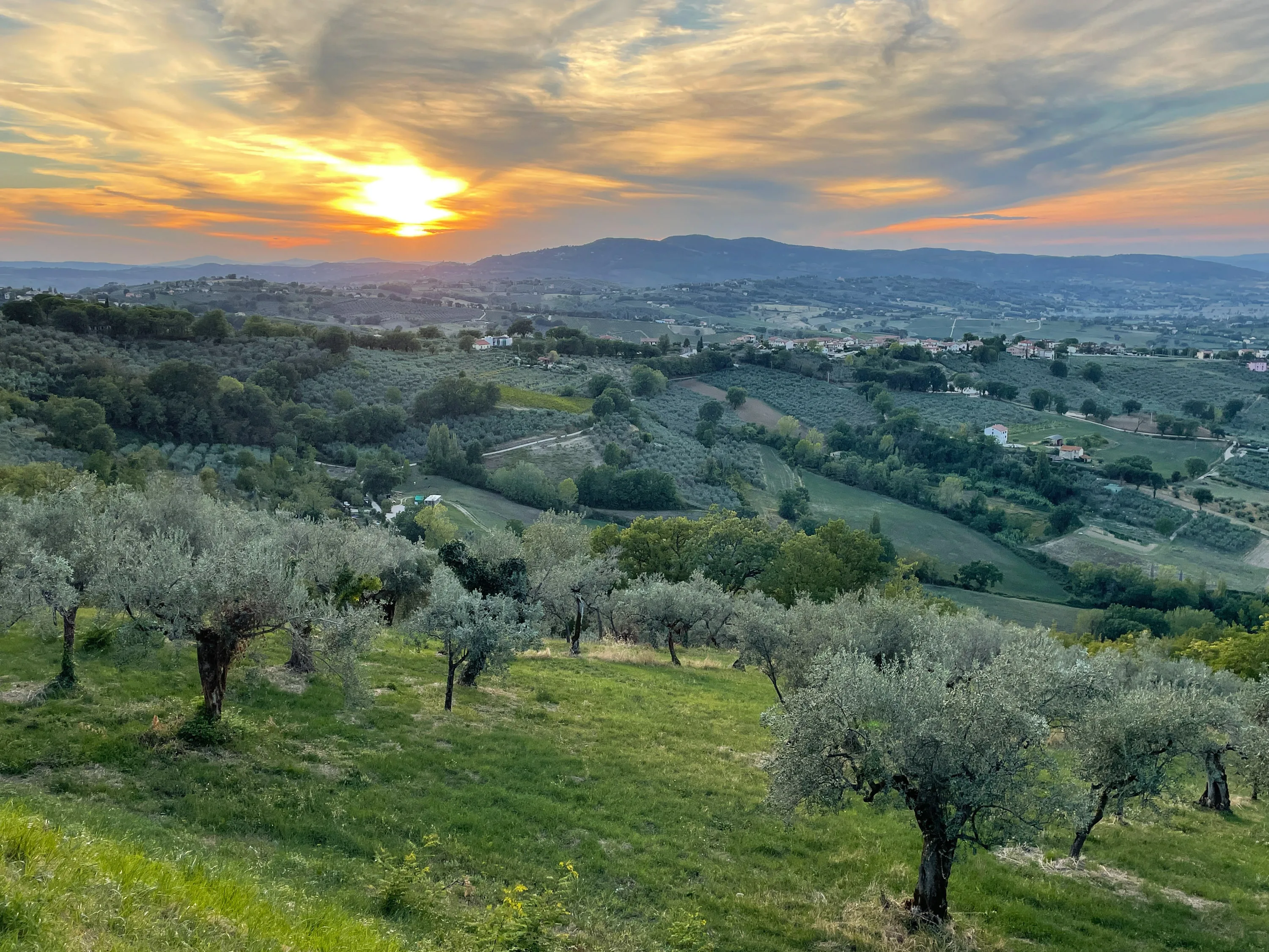 the-dark-jewel-of-umbria-thoughts-on-montefalco-sagrantino-vinography