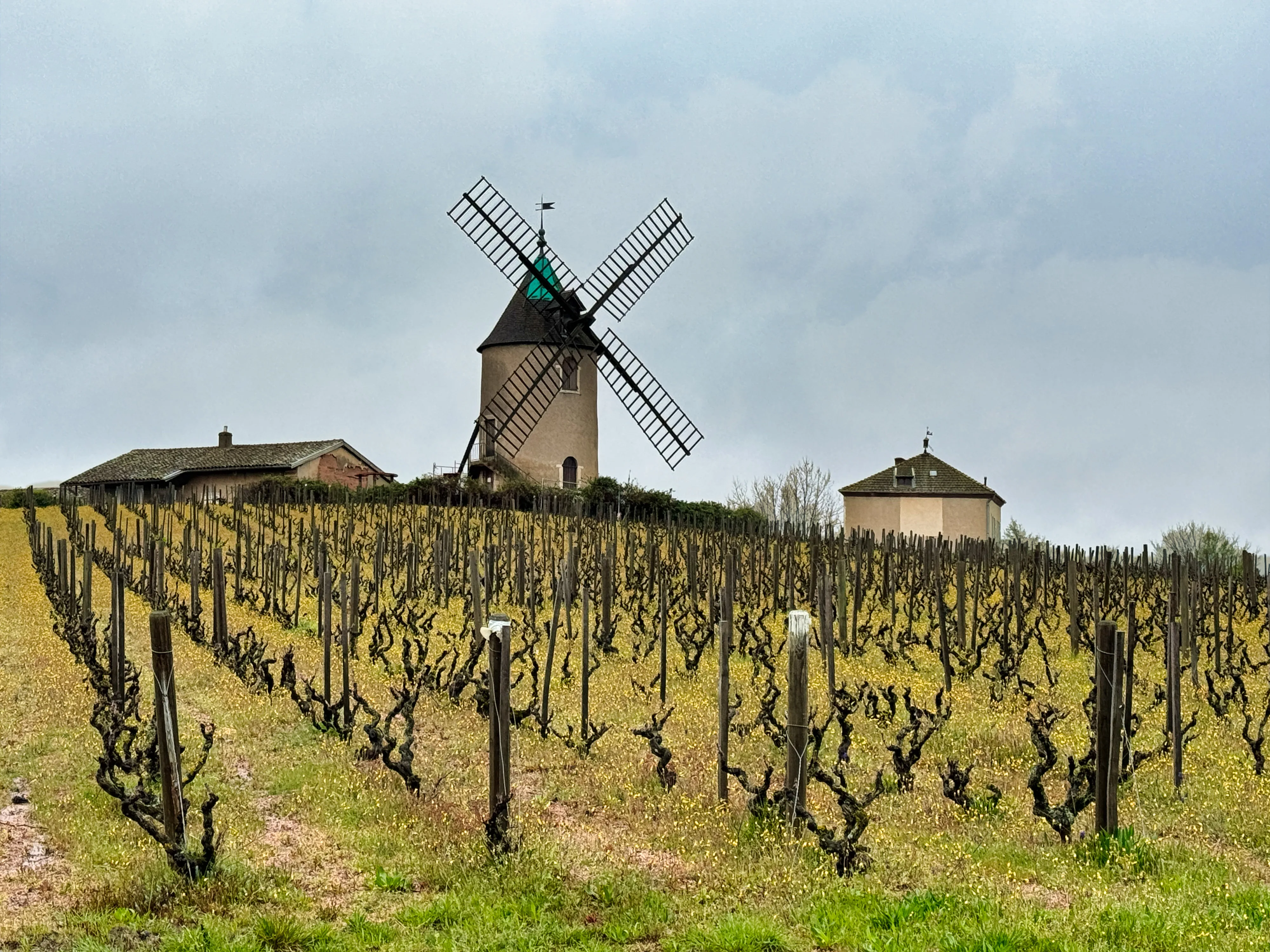 Moulin à Dos Waboba Blanc – Idéal Pour La Plage Et Les Jeux D'eau – Neuf