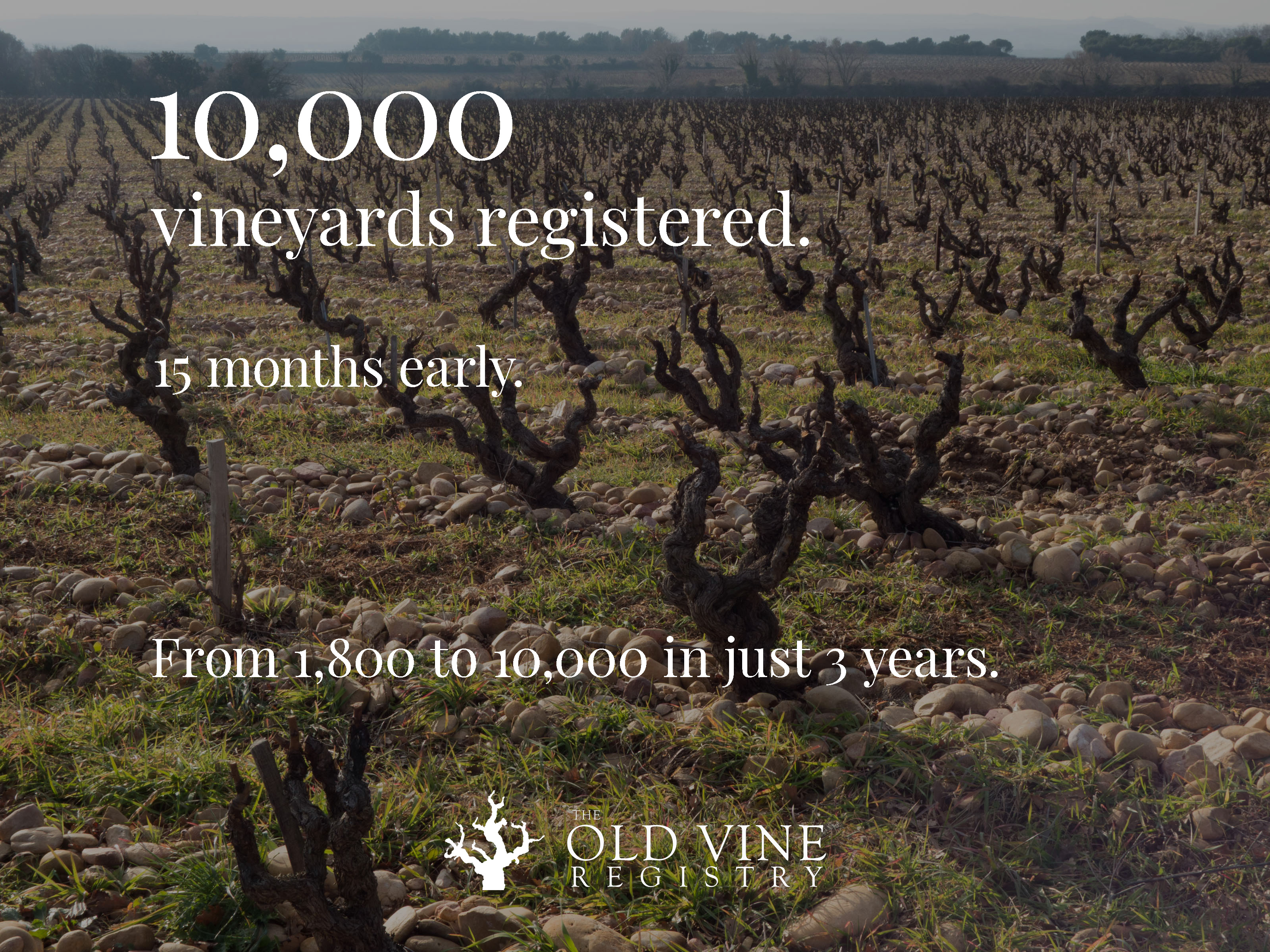Global Old Vine Registry Surpasses 10,000 Vineyards