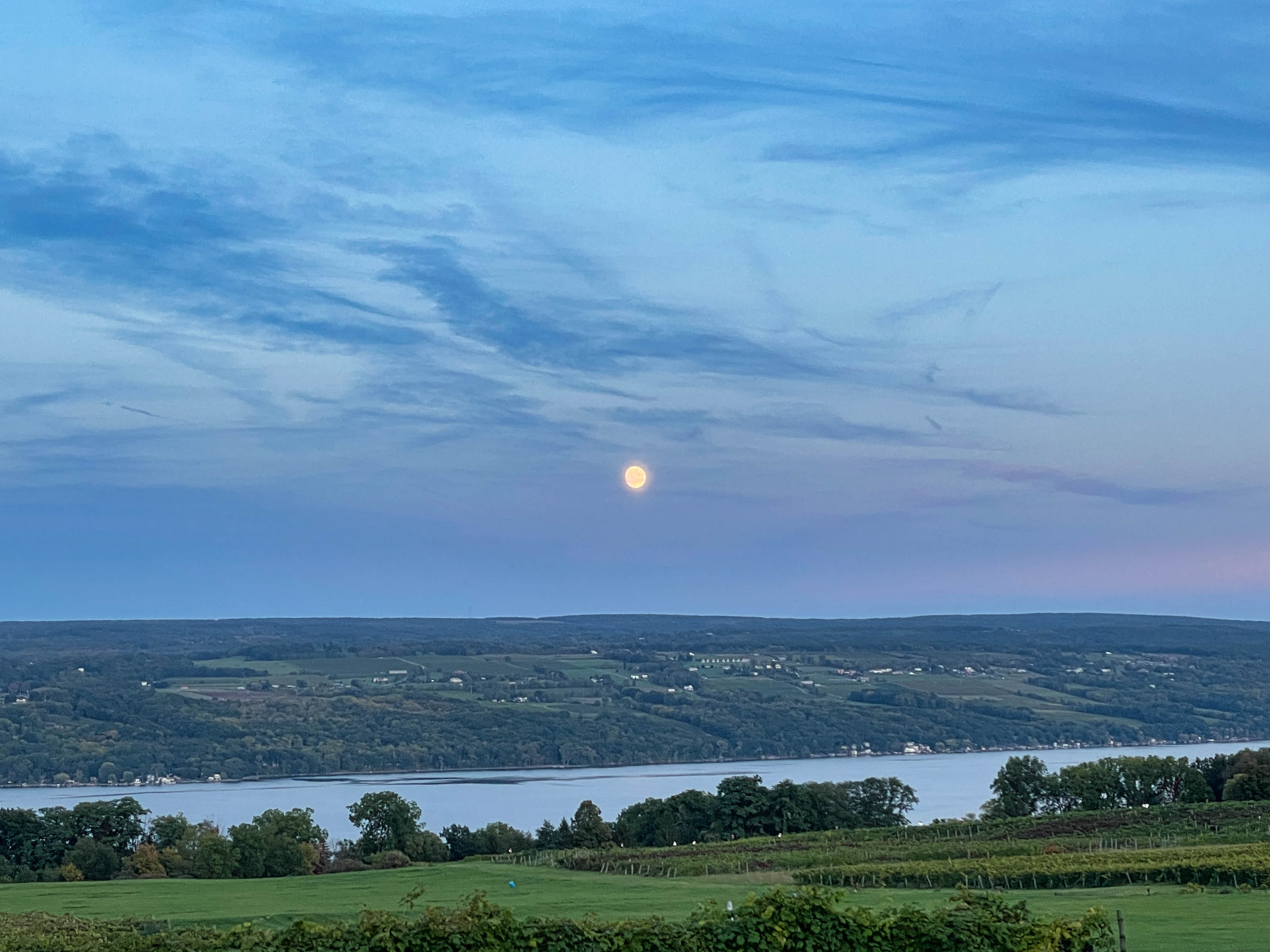 Vinography Images: Riesling Moon