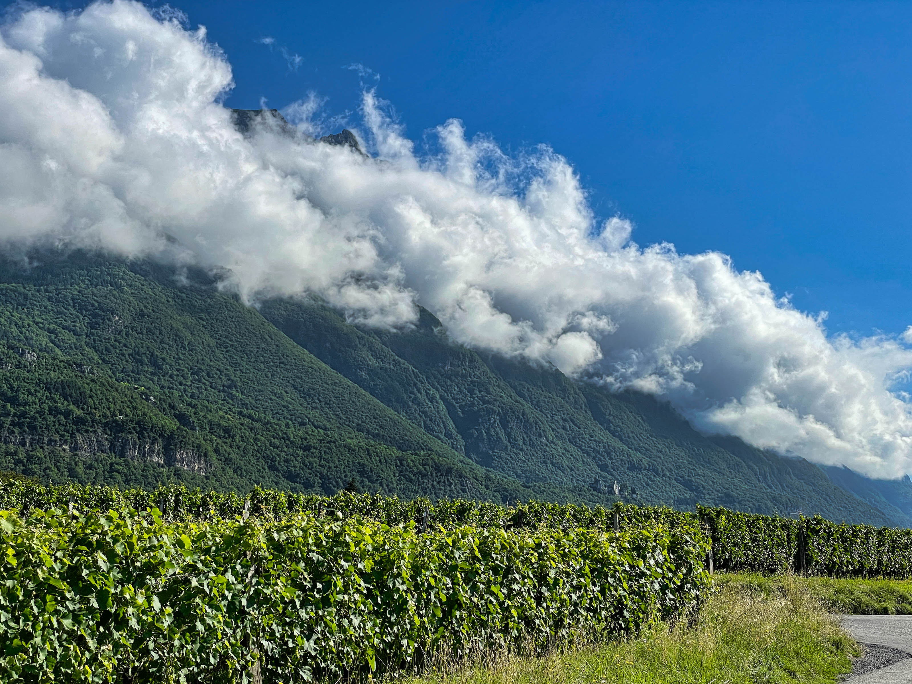 Vinography Images: Layer Cake