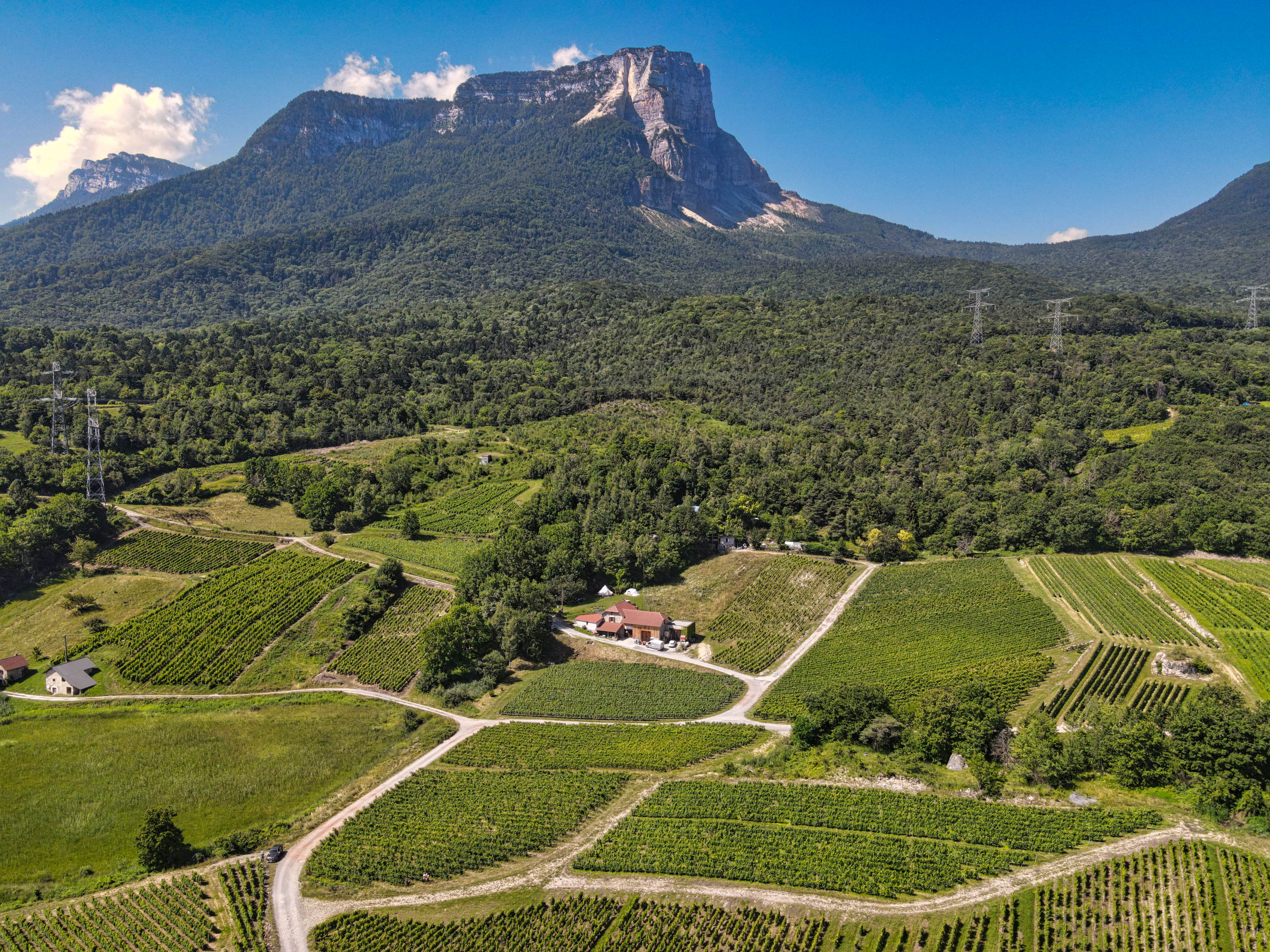 Vinography Images: Les Abymes