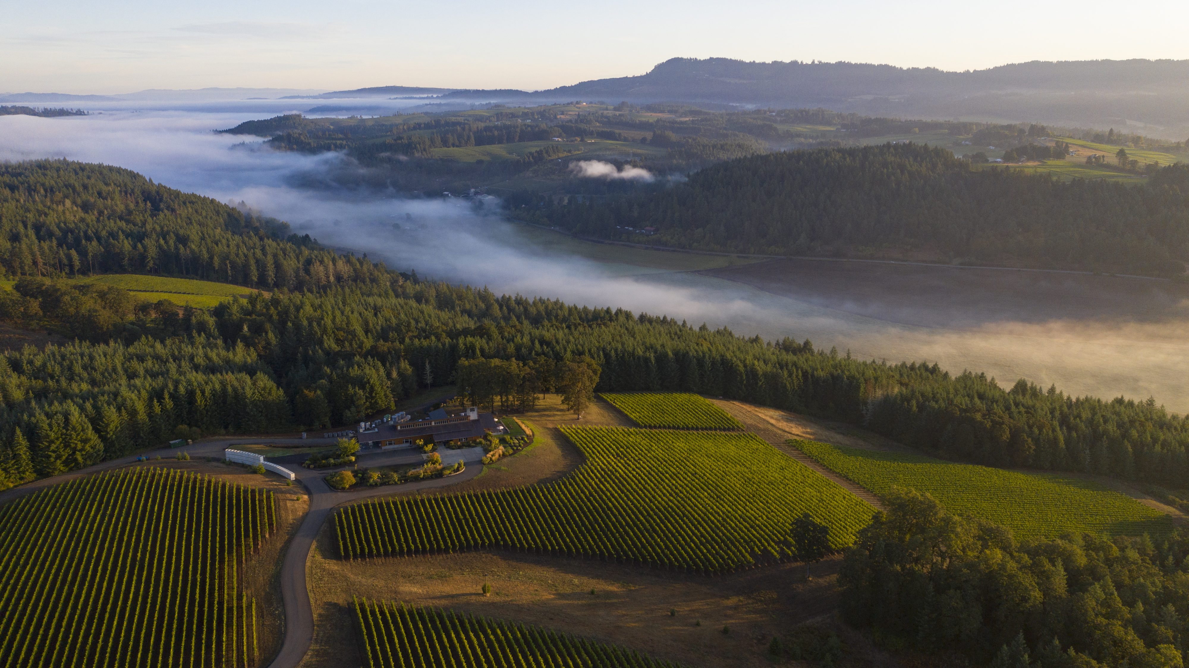 Image for Yamhill-Carlton – Willamette’s Warm Heart