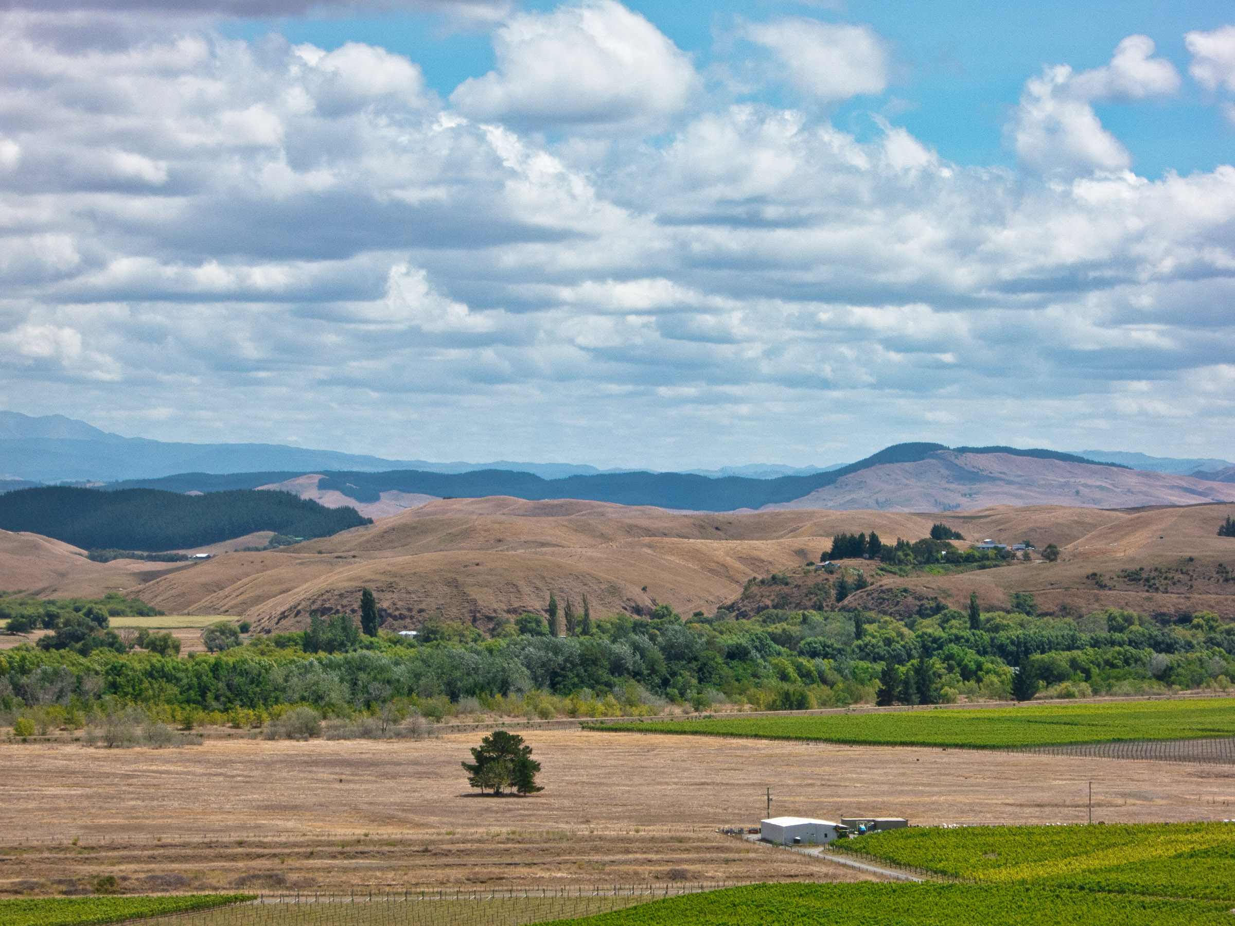 Vinography Images: Unplanted Gravels