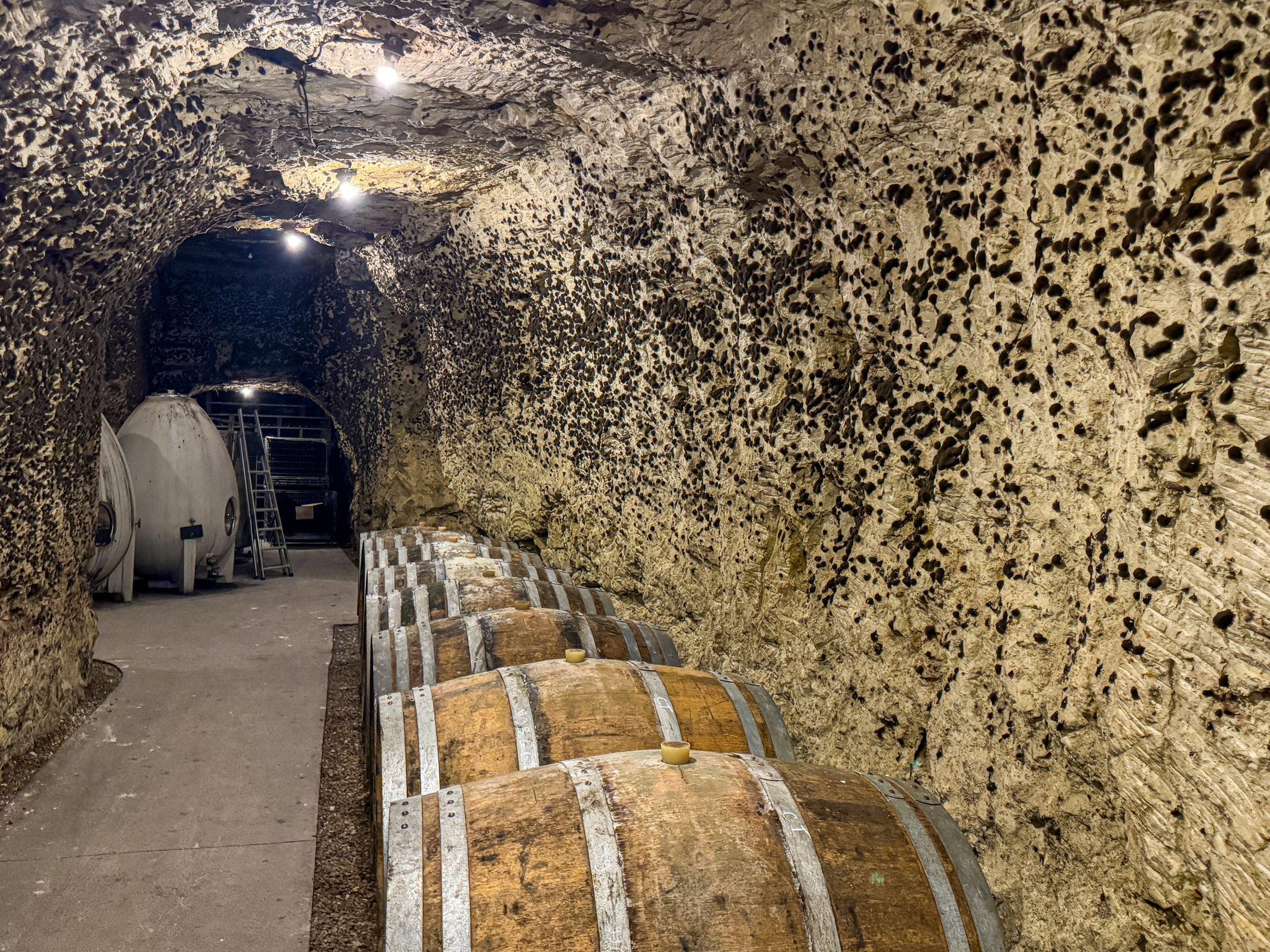 Vinography Images: Spotted in the Cellar